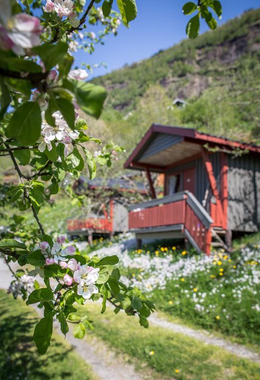 Pluscamp Sandvik ガウプナ エクステリア 写真